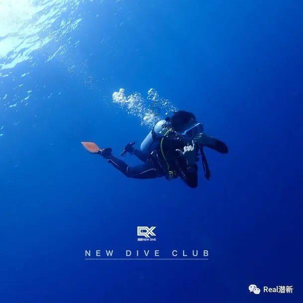 《来自星尘》是否为抽卡游戏?深入解析游戏特点