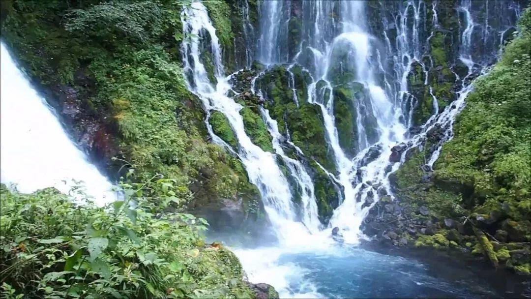 逃出郊外露营地